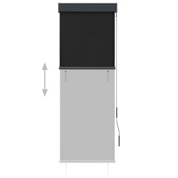 Store roulant d'extérieur 60 x 250 cm Anthracite 