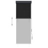 Store roulant d'extérieur 60 x 250 cm Anthracite 