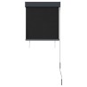 Store roulant d'extérieur 60 x 250 cm Anthracite 