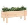 Lit surélevé de jardin 101x30x38 cm bois de pin massif 