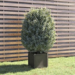 Jardinière Gris 40x40x40 cm Bois de pin massif 