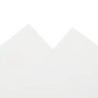Bâche blanc 1,5x6 m 650 g/m² 
