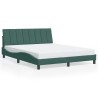 Cadre de lit avec lumières LED vert foncé 160x200 cm velours 