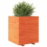 Jardinière cire marron 60x60x72 cm bois de pin massif 