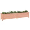 Lit surélevé de jardin 199,5x40x39 cm bois douglas massif 