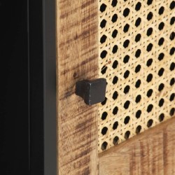 Meuble TV 120x30x40 cm Bois de manguier brut et canne naturelle 