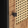 Meuble TV 120x30x40 cm Bois de manguier brut et canne naturelle 