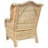 Canapé avec coussin Rotin naturel et lin 