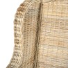 Canapé avec coussin Rotin naturel et lin 