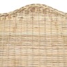 Canapé avec coussin Rotin naturel et lin 