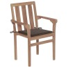 Chaises de jardin lot de 2 et coussins taupe Bois teck massif 
