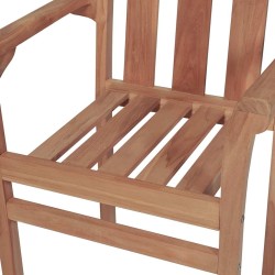 Chaises de jardin lot de 2 et coussins taupe Bois teck massif 