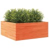 Jardinière cire marron 110x110x46 cm bois de pin massif 