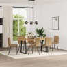 Chaises à manger lot de 6 marron velours 