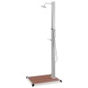 Douche d'extérieur avec receveur de douche WPC Acier inoxydable 