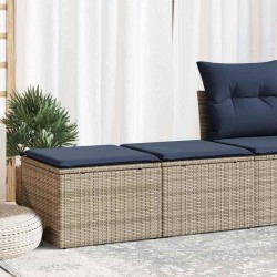 Salon de jardin 2 pcs avec coussins gris résine tressée acacia 