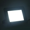 Projecteurs à LED 2 pcs 50 W Blanc froid  