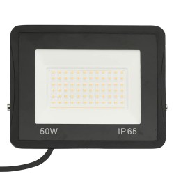 Projecteurs à LED 2 pcs 50 W Blanc froid  