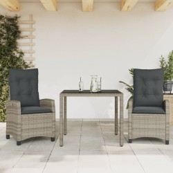 Ensemble à manger de jardin 3 pcs coussins gris résine tressée 