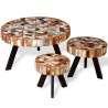Ensemble de table basse 3 pièces Bois de récupération massif 
