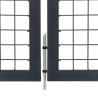 Portillon avec poteaux Acier 350 x 100 cm Anthracite 