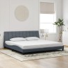Cadre de lit avec lumières LED gris foncé 200x200 cm velours 