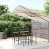 Ensemble de bar jardin 5 pcs noir poly rotin/bois massif acacia 