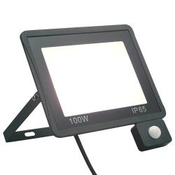 Projecteur à LED avec capteur 100 W Blanc froid 