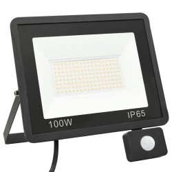 Projecteur à LED avec capteur 100 W Blanc froid 