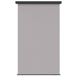 Auvent latéral de balcon gris foncé 165x250 cm 