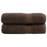 Serviettes de bain de qualité supérieure SOLUND 2 pcs marron 