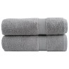 Serviettes de bain de qualité supérieure SOLUND 2 pcs gris 