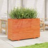 Jardinière cire marron 110x40x72 cm bois de pin massif 