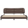 Cadre de lit avec LED sans matelas marron 200x200 cm 