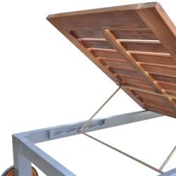 Chaise longue avec coussin Bois d'acacia et acier galvanisé 