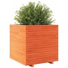 Jardinière cire marron 70x70x72 cm bois de pin massif 