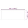 Auvent vertical Blanc 100x600 cm Tissu oxford 
