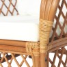 Canapé avec coussin Marron clair Rotin naturel et lin 