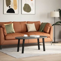 Pieds de table basse 4 pièces Noir 30 cm Acier 