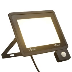 Projecteur à LED avec capteur 100 W Blanc chaud  