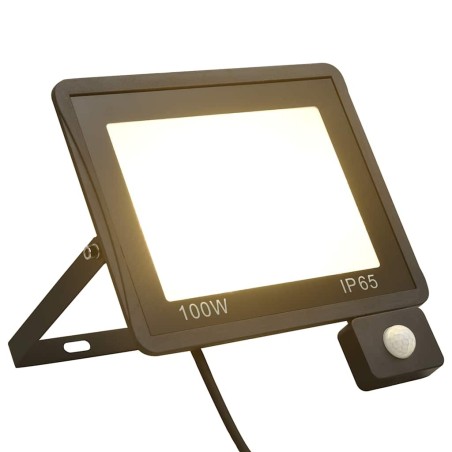 Projecteur à LED avec capteur 100 W Blanc chaud  