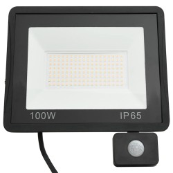Projecteur à LED avec capteur 100 W Blanc chaud  