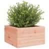 Jardinière 40x40x23 cm bois massif de douglas 