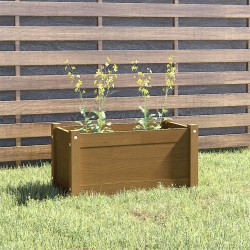 Jardinière d'extérieur Marron miel 60x31x31 cm Bois de pin 
