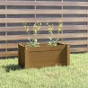 Jardinière d'extérieur Marron miel 60x31x31 cm Bois de pin 