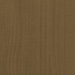 Jardinière d'extérieur Marron miel 60x31x31 cm Bois de pin 