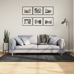 Tapis shaggy PAMPLONA poils longs moderne anthracite 100x200 cm 
