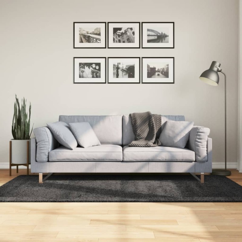 Tapis shaggy PAMPLONA poils longs moderne anthracite 100x200 cm 