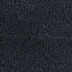 Tapis de porte gris foncé 90x150 cm fibre de coco touffeté 