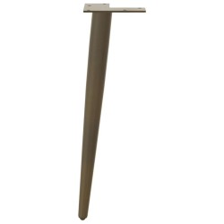 Pieds de table basse coniques 4 pièces Acier naturel 30-31 cm Acier 